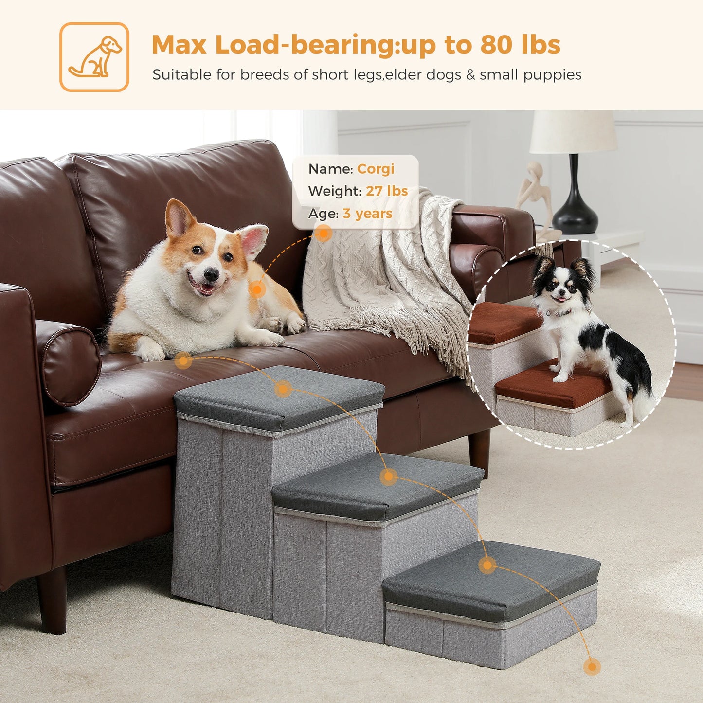 PAWZ Road 3 Tier Foldable Dog Stairs With Storage Box