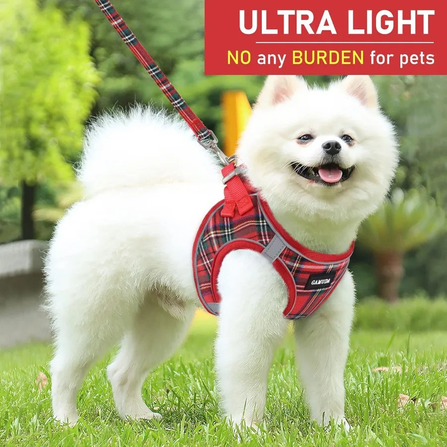 High-concerned Small Dog Harness And Leash Set Soft Mesh Vest Design