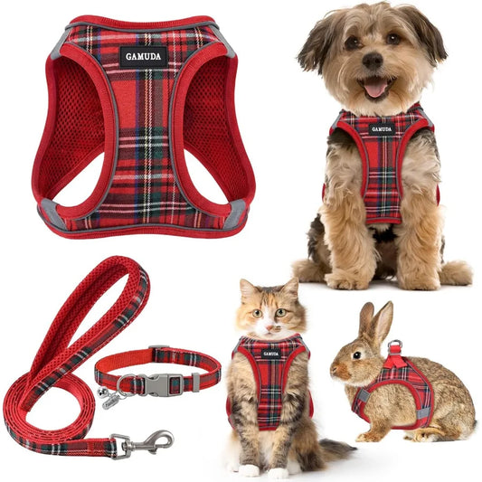 High-concerned Small Dog Harness And Leash Set Soft Mesh Vest Design