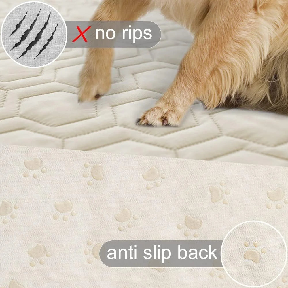 Fujian Waterproof Anti Slip Dog Bed Cover Sofa Protector